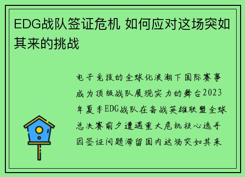 EDG战队签证危机 如何应对这场突如其来的挑战
