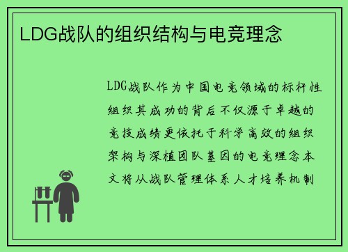 LDG战队的组织结构与电竞理念